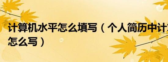 计算机水平怎么填写（个人简历中计算机水平怎么写）