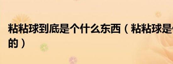 粘粘球到底是个什么东西（粘粘球是什么材质的）