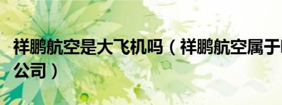 祥鹏航空是大飞机吗（祥鹏航空属于哪个航空公司）