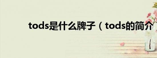 tods是什么牌子（tods的简介）