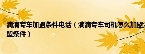 滴滴专车加盟条件电话（滴滴专车司机怎么加盟滴滴专车加盟条件）