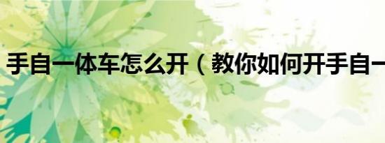 手自一体车怎么开（教你如何开手自一体车）
