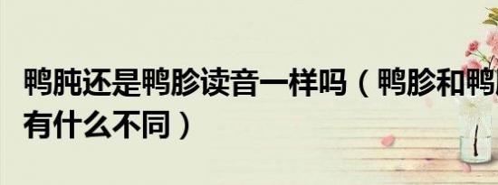 鸭肫还是鸭胗读音一样吗（鸭胗和鸭肫的读音有什么不同）