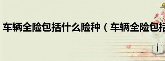 车辆全险包括什么险种（车辆全险包括什么）