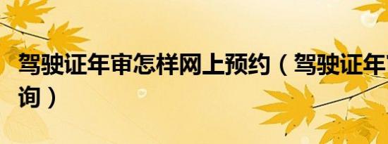 驾驶证年审怎样网上预约（驾驶证年审怎么查询）