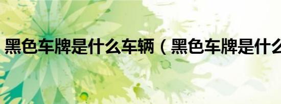 黑色车牌是什么车辆（黑色车牌是什么意思）