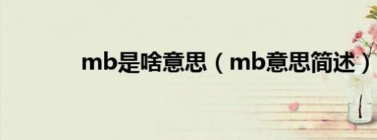 mb是啥意思（mb意思简述）