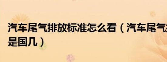 汽车尾气排放标准怎么看（汽车尾气排放标准是国几）