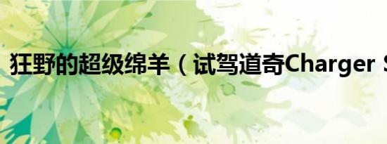狂野的超级绵羊（试驾道奇Charger SRT8）