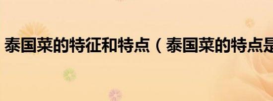 泰国菜的特征和特点（泰国菜的特点是什么）