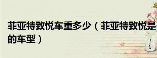 菲亚特致悦车重多少（菲亚特致悦是什么级别的车型）