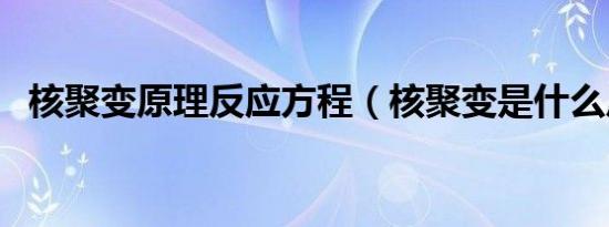核聚变原理反应方程（核聚变是什么反应）