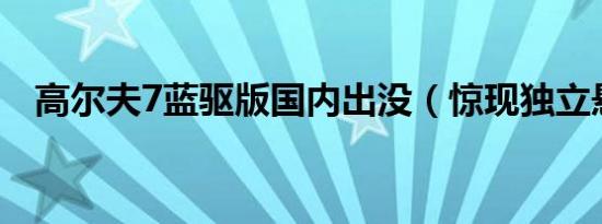 高尔夫7蓝驱版国内出没（惊现独立悬挂）