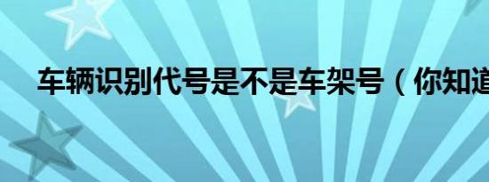 车辆识别代号是不是车架号（你知道吗）