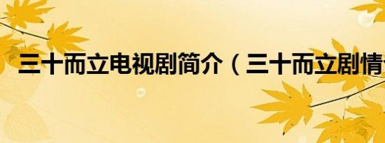 三十而立电视剧简介（三十而立剧情介绍）