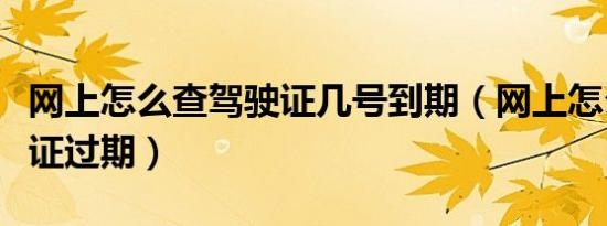 网上怎么查驾驶证几号到期（网上怎么查驾驶证过期）