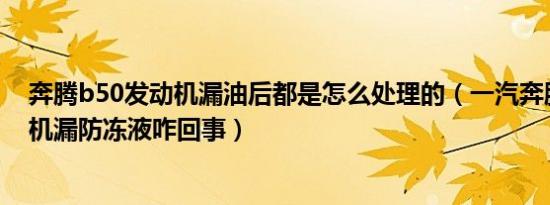 奔腾b50发动机漏油后都是怎么处理的（一汽奔腾b50发动机漏防冻液咋回事）