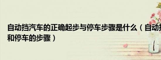 自动挡汽车的正确起步与停车步骤是什么（自动挡正确起步和停车的步骤）