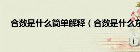 合数是什么简单解释（合数是什么东西）
