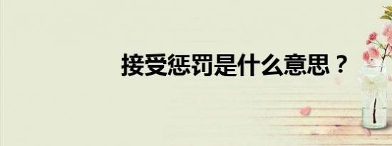 接受惩罚是什么意思？