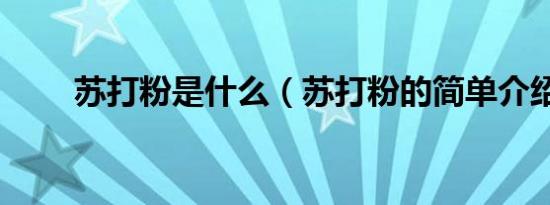 苏打粉是什么（苏打粉的简单介绍）