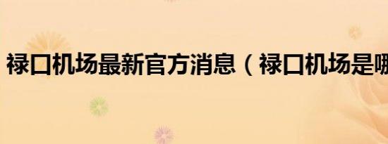禄口机场最新官方消息（禄口机场是哪个区）