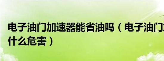 电子油门加速器能省油吗（电子油门加速器有什么危害）