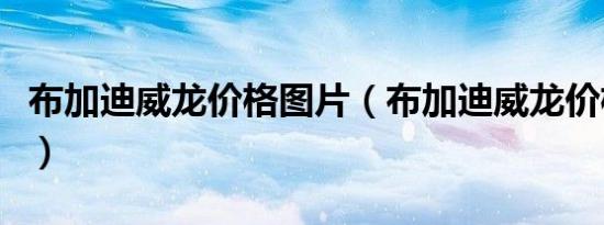 布加迪威龙价格图片（布加迪威龙价格是多少）