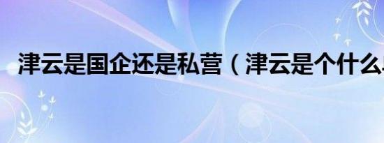 津云是国企还是私营（津云是个什么单位）