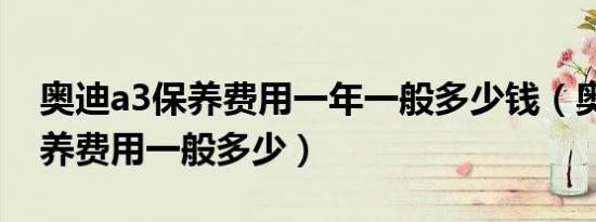 奥迪a3保养费用一年一般多少钱（奥迪a3保养费用一般多少）