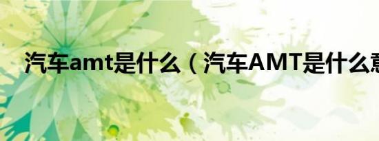 汽车amt是什么（汽车AMT是什么意思）