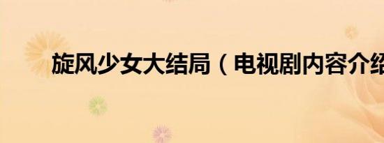旋风少女大结局（电视剧内容介绍）