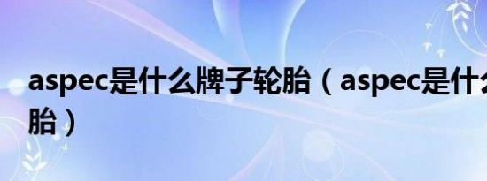aspec是什么牌子轮胎（aspec是什么牌子轮胎）