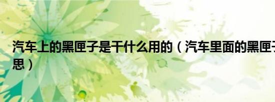 汽车上的黑匣子是干什么用的（汽车里面的黑匣子是什么意思）