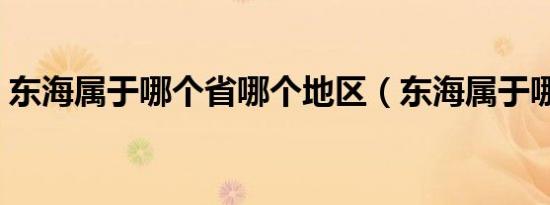 东海属于哪个省哪个地区（东海属于哪个省）