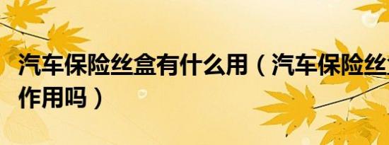 汽车保险丝盒有什么用（汽车保险丝盒有什么作用吗）