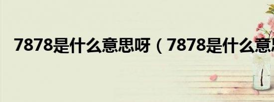 7878是什么意思呀（7878是什么意思呀）