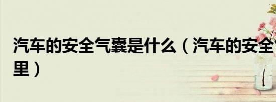 汽车的安全气囊是什么（汽车的安全气囊在哪里）