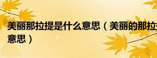 美丽那拉提是什么意思（美丽的那拉提是什么意思）