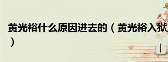 黄光裕什么原因进去的（黄光裕入狱原因简述）