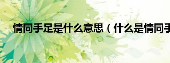 情同手足是什么意思（什么是情同手足）