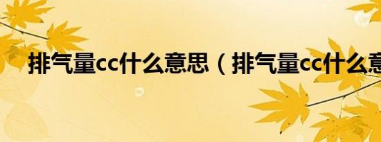排气量cc什么意思（排气量cc什么意思）