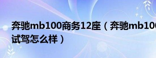 奔驰mb100商务12座（奔驰mb100商务车试驾怎么样）