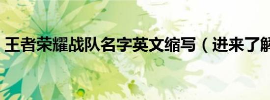 王者荣耀战队名字英文缩写（进来了解一下）