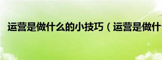 运营是做什么的小技巧（运营是做什么的）