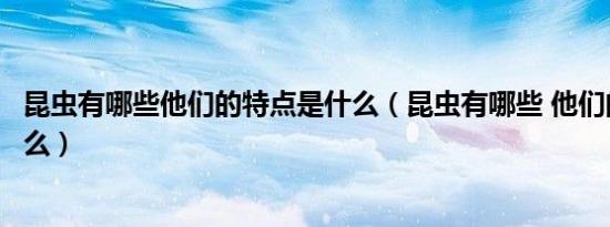 昆虫有哪些他们的特点是什么（昆虫有哪些 他们的特点是什么）