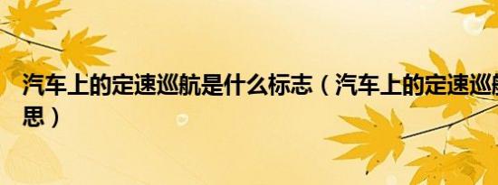 汽车上的定速巡航是什么标志（汽车上的定速巡航是什么意思）