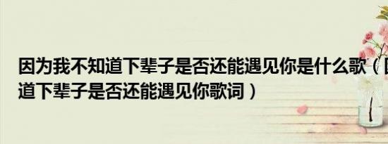 因为我不知道下辈子是否还能遇见你是什么歌（因为我不知道下辈子是否还能遇见你歌词）