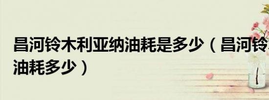 昌河铃木利亚纳油耗是多少（昌河铃木利亚纳油耗多少）