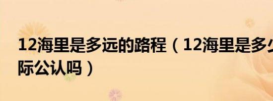 12海里是多远的路程（12海里是多少公里国际公认吗）